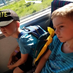 Svišti v ZOO Brno